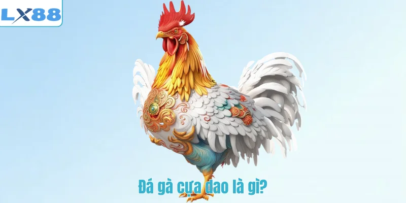 Đá gà cựa dao là gì?