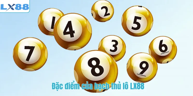 Đặc điểm của bạch thủ lô LX88